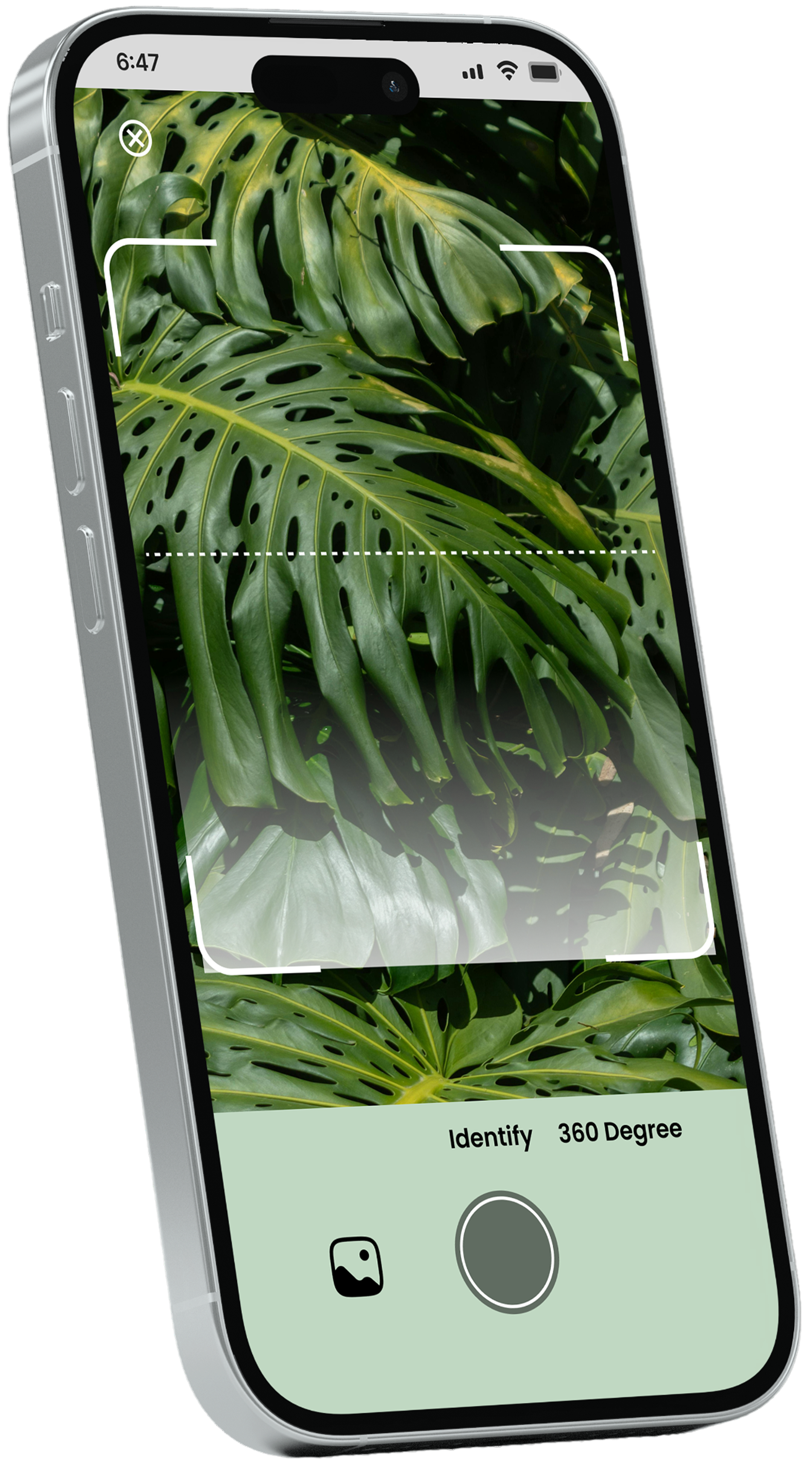 Plant Health Scanner